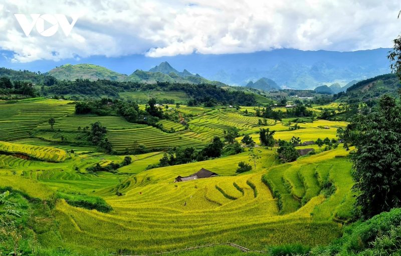 lai châu