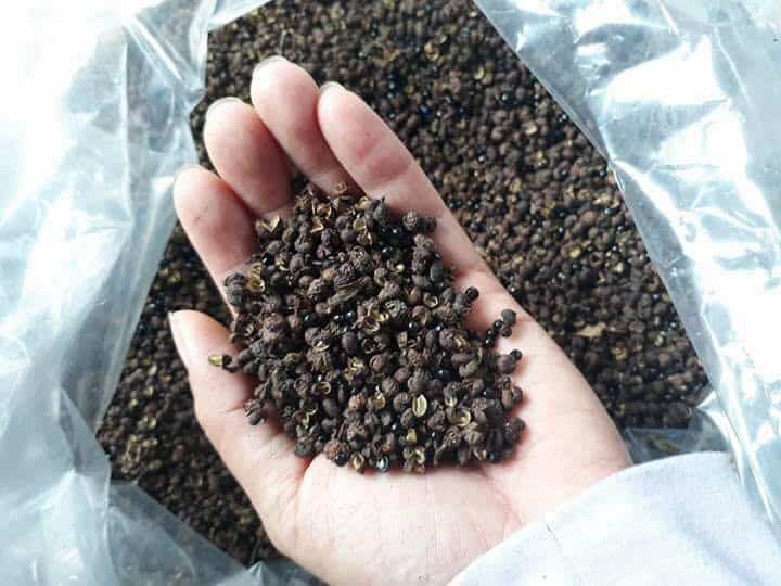 Hạt Mắc Khén Lai Châu-Gia Vị Vàng Của Ẩm Thực Tây Bắc 2 lai châu