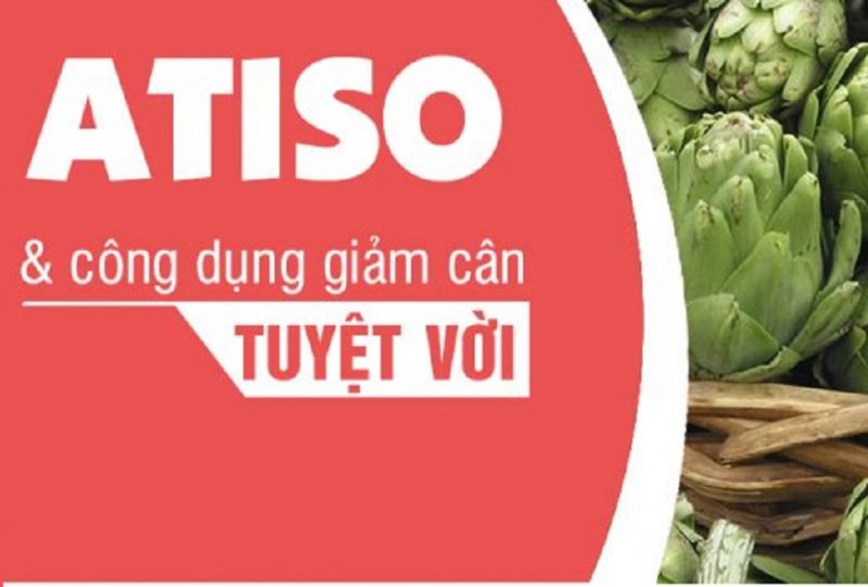 Công dụng của trà atiso trong chế độ giảm cân như thế nào? 3 cong-dung-cua-tra-atiso-trong-che-do-giam-can-nhu-the-nao