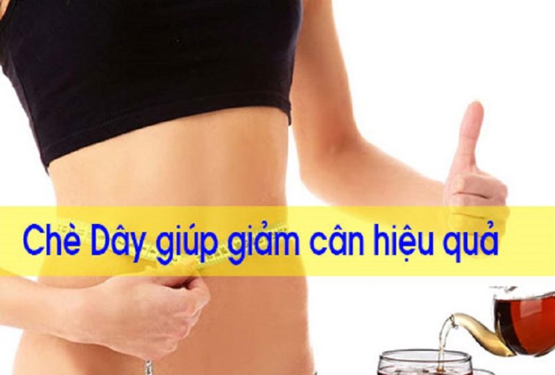 Uống chè dây giảm cân có hiệu quả và an toàn không? 5 uong-che-day-giam-can-co-hieu-qua-va-an-toan-khong