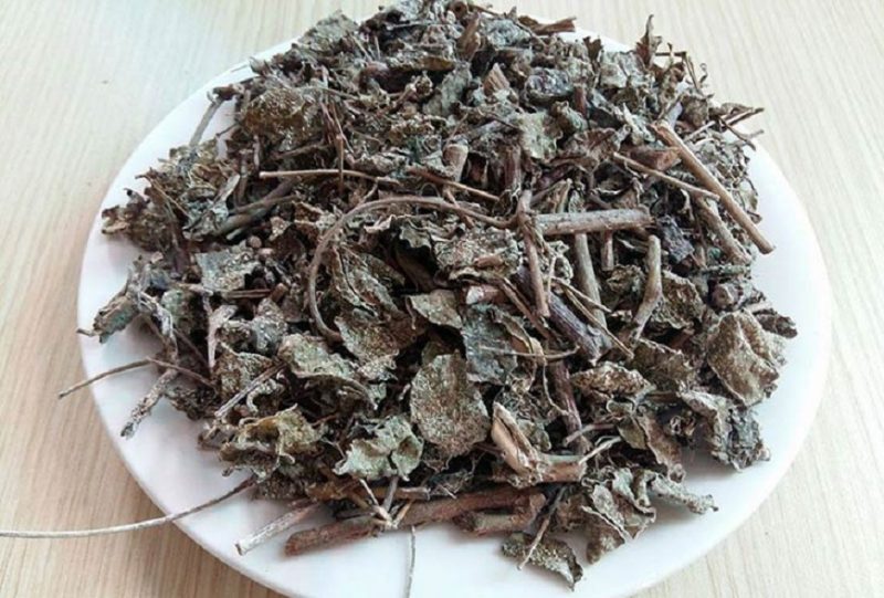 Uống chè dây giảm cân có hiệu quả và an toàn không? 6 uong-che-day-giam-can-co-hieu-qua-va-an-toan-khong