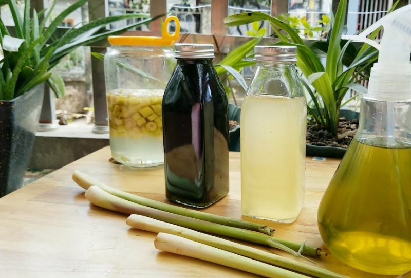 huong-dan-3-cach-lam-tinh-dau-sa-duoi-muoi-don-gian