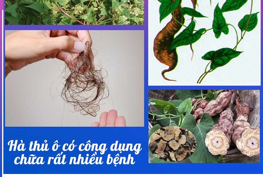 ha-thu-o-co-tac-dung-gi-va-6-cau-tra-loi-cho-ban