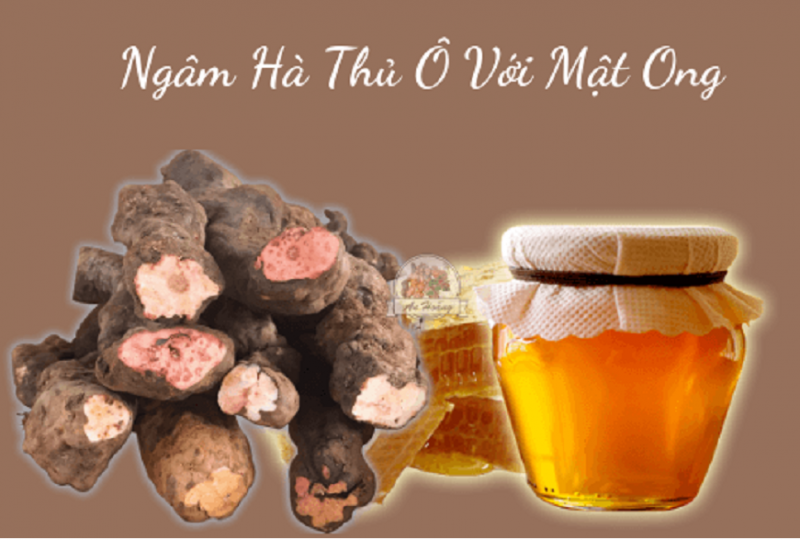 huong-dan-5-cach-lam-ha-thu-o-mat-ong-rung-chong-lao-hoa
