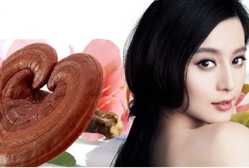 9-tac-dung-cua-nam-linh-chi-voi-phu-nu-va-cach-dung-hieu-qua
