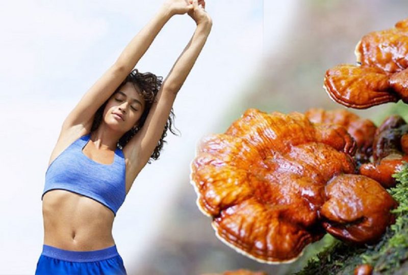 Giảm cân nấm linh chi – phương pháp tự nhiên an toàn hiệu quả 4 giam-can-nam-linh-chi-phuong-phap-tu-nhien-an-toan-hieu-qua