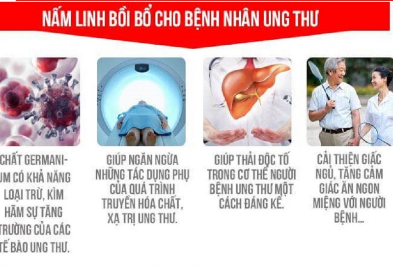 giai-dap-ung-thu-co-nen-uong-nam-linh-chi