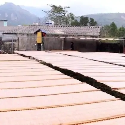 Miến Dong Bình Lư Nấu Món Gì Ngon? 5 Cách Chế Biến Đơn Giản Tại Nhà