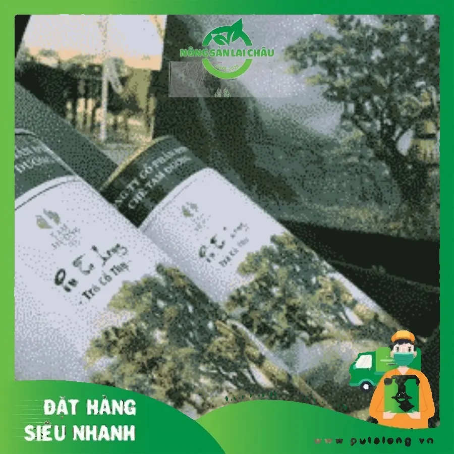 Trang chủ 44 lai châu