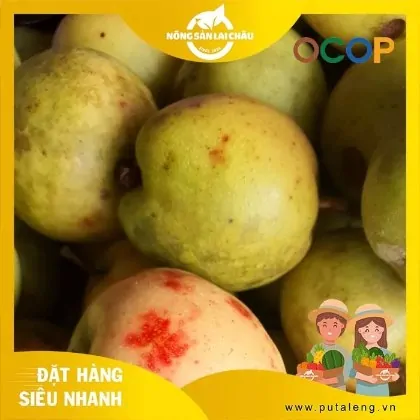 Sản Phẩm OCOP Lai Châu Là Gì? Danh Sách Đặc Sản Đạt Chuẩn OCOP